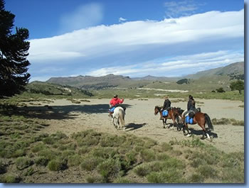 Argentina Pampa, on the Crossing the Andes on Horseback in Northern patagonia Trail